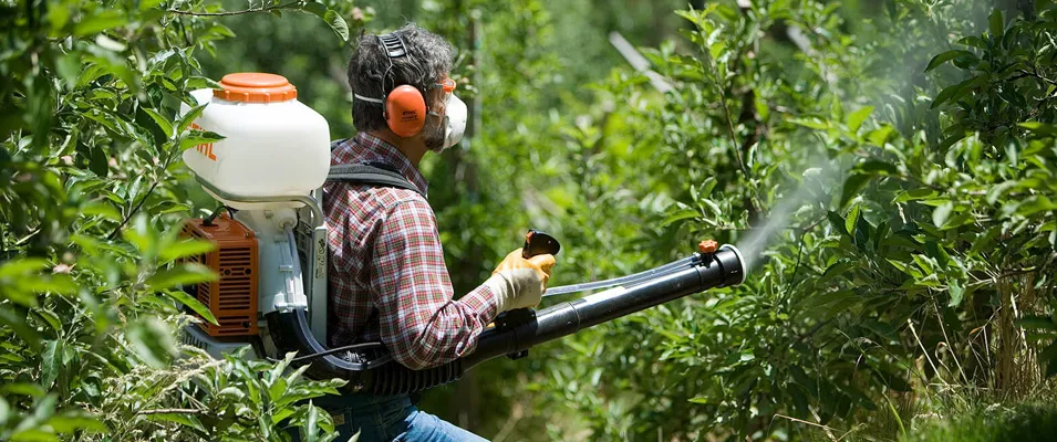 Обработка растений от вредителей и болезней